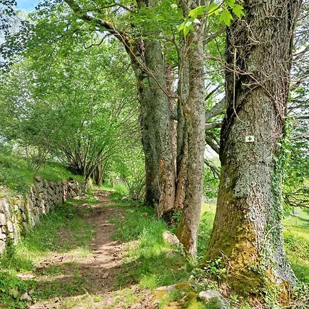 Apartment Les 4 Saisons *